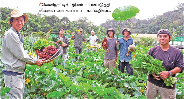 சின்னச் சின்ன நுண்ணுயிர்கள் பெரிய பெரிய லாபம்! - உதவிக்கு வரும் உயிரியல்