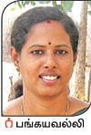 நீங்கள் கேட்டவை: விளைச்சலைக் கூட்டும் ‘மணிலா அகத்தி!’