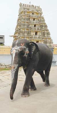 இதோ... எந்தன் தெய்வம்! - 38