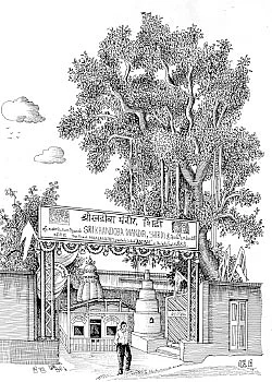 ஸ்ரீ்சாயி பிரசாதம் - 23