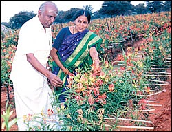 லட்சாதிபதி ஆக்கும் லாபக் கொடி!