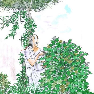 மண்புழு மன்னாரு: சுண்டைக்காய் கால் பணம்... சுமைக்கூலி முக்கால் பணத்தின் சூத்திரம்!