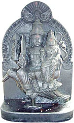 வாசகர் தகவல்கள்