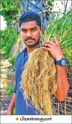 ‘‘வெட்டிவேர், ஏக்கருக்கு ரூ 2 லட்சம் லாபம் தரும்!”