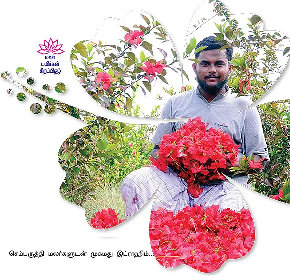 கிலோ 160 ரூபாய்... மாசத்துக்கு 240 கிலோ...