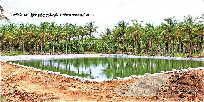 ஒரு மணிநேர மழை... ஒரு கோடி லிட்டர் நீர் சேமிப்பு! - பட்டையைக் கிளப்பும் பண்ணைக்குட்டை!