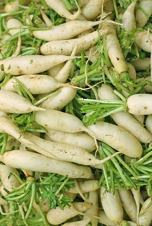 இயற்கை டாக்டர்