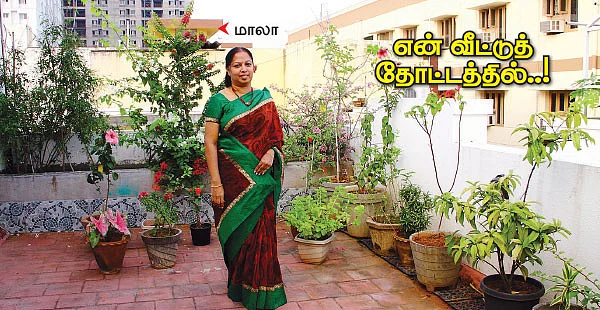 என் வீட்டுத் தோட்டத்தில்..!