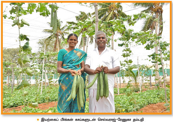 இயற்கைப் பீர்க்கன்...1 ஏக்கர்... 130 நாள்... ரூ1,60,000