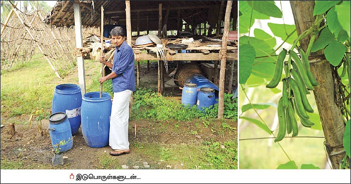 30 சென்ட்... 140 நாள்கள்... ரூ.73 ஆயிரம் வருமானம்! - பங்கமில்லாமல் வருமானம் கொடுக்கும் பந்தல் காய்கறி!