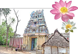 ஆழ்வார் பெருமை!