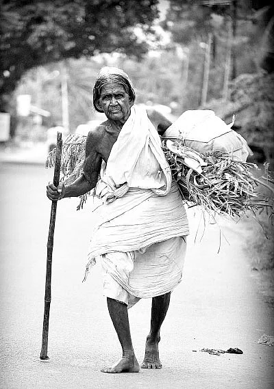 உழைப்பின் வாரா உறுதிகள் உளவோ?