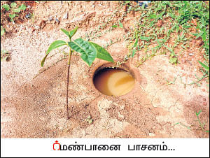 அன்று கல்லுக்கொல்லை... இன்று நெல்லுக்கொல்லை! - வீணான நிலம் விளைநிலமான கதை
