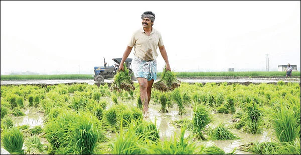 கடைக்குட்டி சிங்கம்... விவசாயிக்கு மரியாதை!
