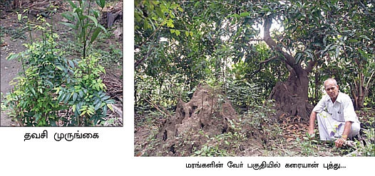 நிறைவான வருமானம்...நிம்மதியான வாழ்க்கை...