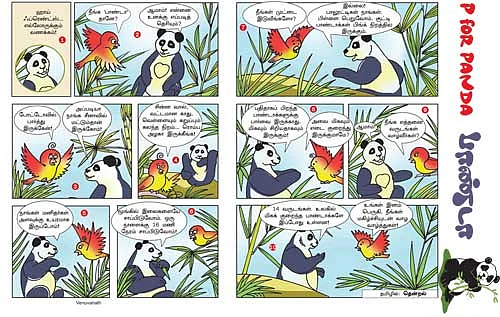 P For PANDA பாண்டா