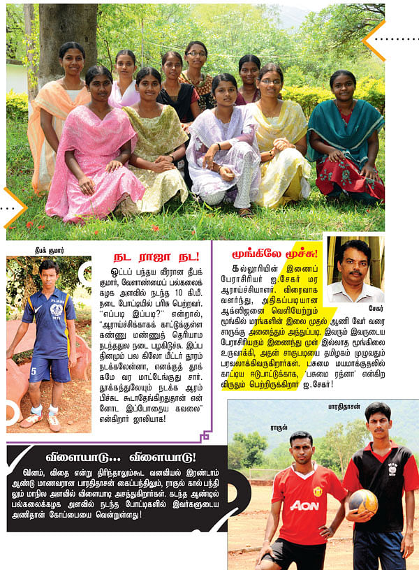 கேம்பஸ் இந்த வாரம்: வனவியல் கல்லூரி மற்றும் ஆராய்ச்சி நிலையம், மேட்டுப்பாளையம்