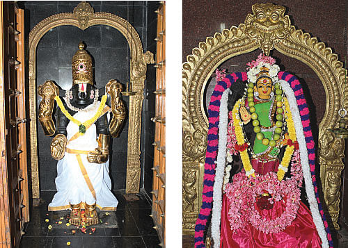 சிந்தை நிறை சிந்தை முருகன்!
