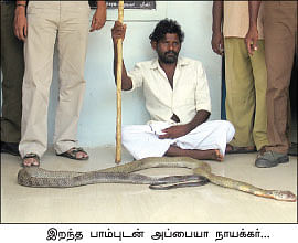 மரத்தடி மாநாடு