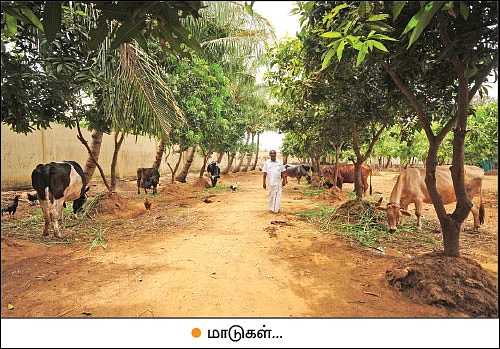 அன்று தொழிலதிபர்... இன்று இயற்கை விவசாயி!