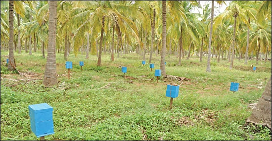 விவசாய மானியங்களைப் பெறுவது எப்படி?