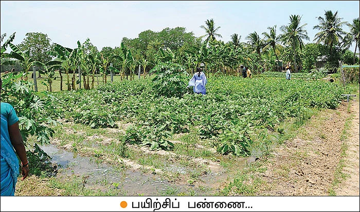 இயற்கை விவசாயத்துக்கு வழிகாட்டும் மாதிரிப் பண்ணை!