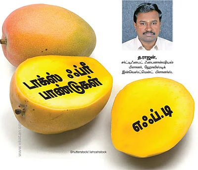 வரிச் சலுகை பாண்டுகள்! - ஒரே கல்லில் இரண்டு மாங்காய்!