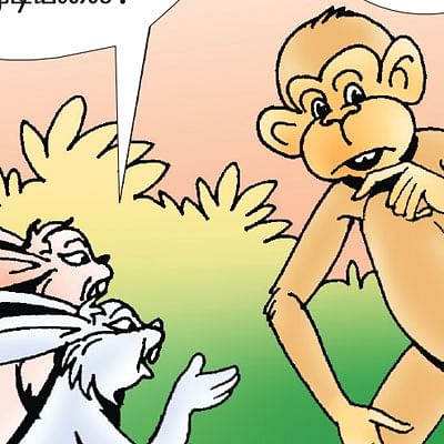 நீள வால் ஷானு