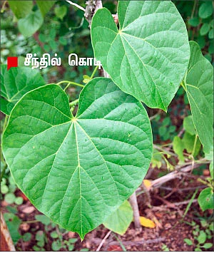 நலம் 360’ - 10