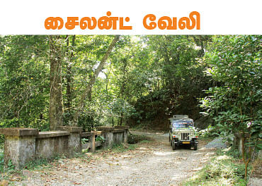 டூர் ஸ்பெஷல்