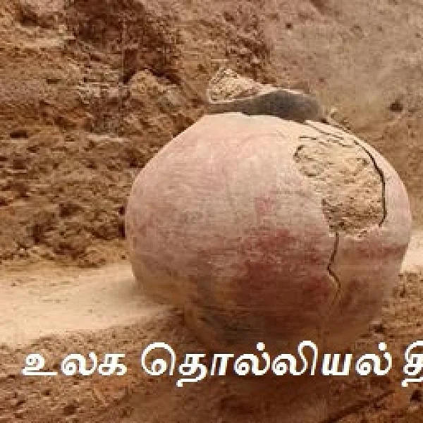 நாம் தொலைத்த பொக்கிஷங்கள் என்னென்ன? - உலக தொல்லியல் தின நினைவூட்டல்