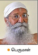 நீங்கள் கேட்டவை: “நேரடி நெல் விதைப்பில் கிடைக்கும் நன்மைகள் என்ன?”