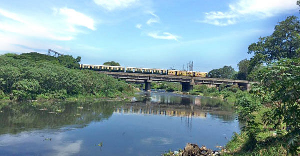 கூவம் நதி உயிரோடுதான் இருக்கிறது...