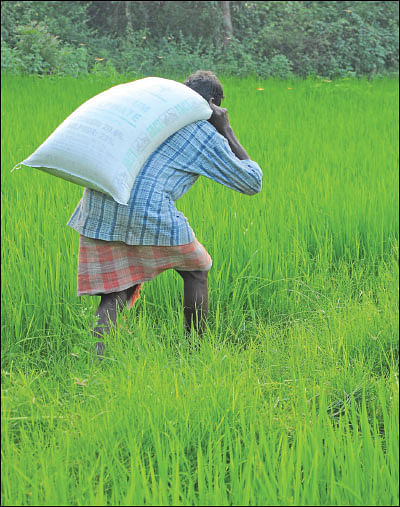 மரத்தடி மாநாடு: ஜூன் 1 முதல் ஆதார் அட்டை இருந்தால்தான் உரம்... மத்திய அரசு அதிரடி!