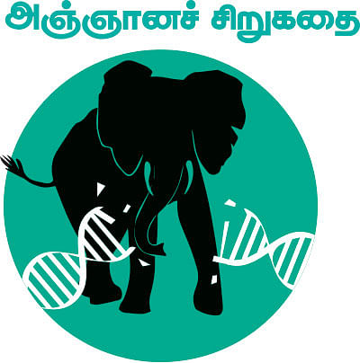 கலைடாஸ்கோப் - 50
