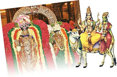 வைகாசி புண்ணியம்... பிரம்மோற்ஸவ தரிசனம்!