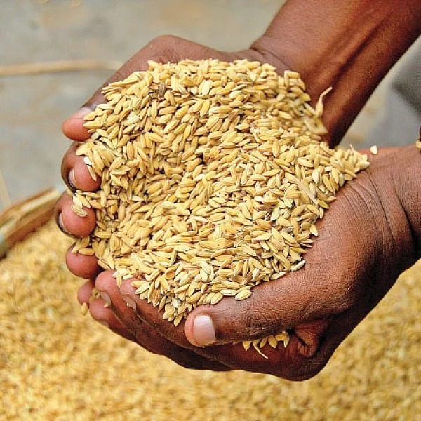 கோப்பு படம்