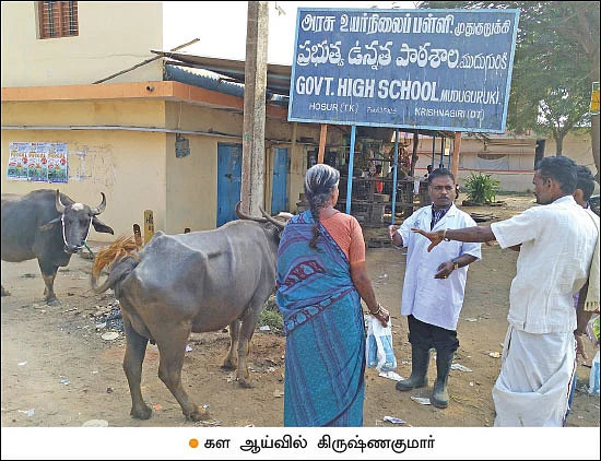 புரஜோஸ்டிரான் பஞ்சு... ஆடு, மாடுகளைச் சினைக்கு வர வைக்கும் தொழில்நுட்பம்!