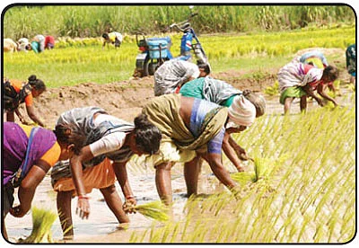 பசுமை ஒலி