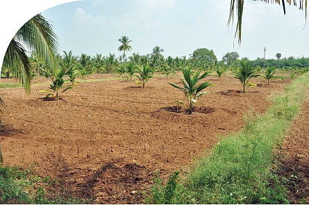 தொழில்துறை... பட்ஜெட் எதிர்பார்ப்புகள்!