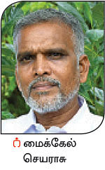 நீங்கள் கேட்டவை: அசுத்த நீரைச் சுத்திகரிக்கும் தேற்றான்கொட்டை!