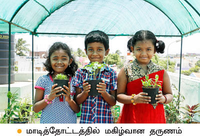 வீட்டுக்குள் விவசாயம் - 18