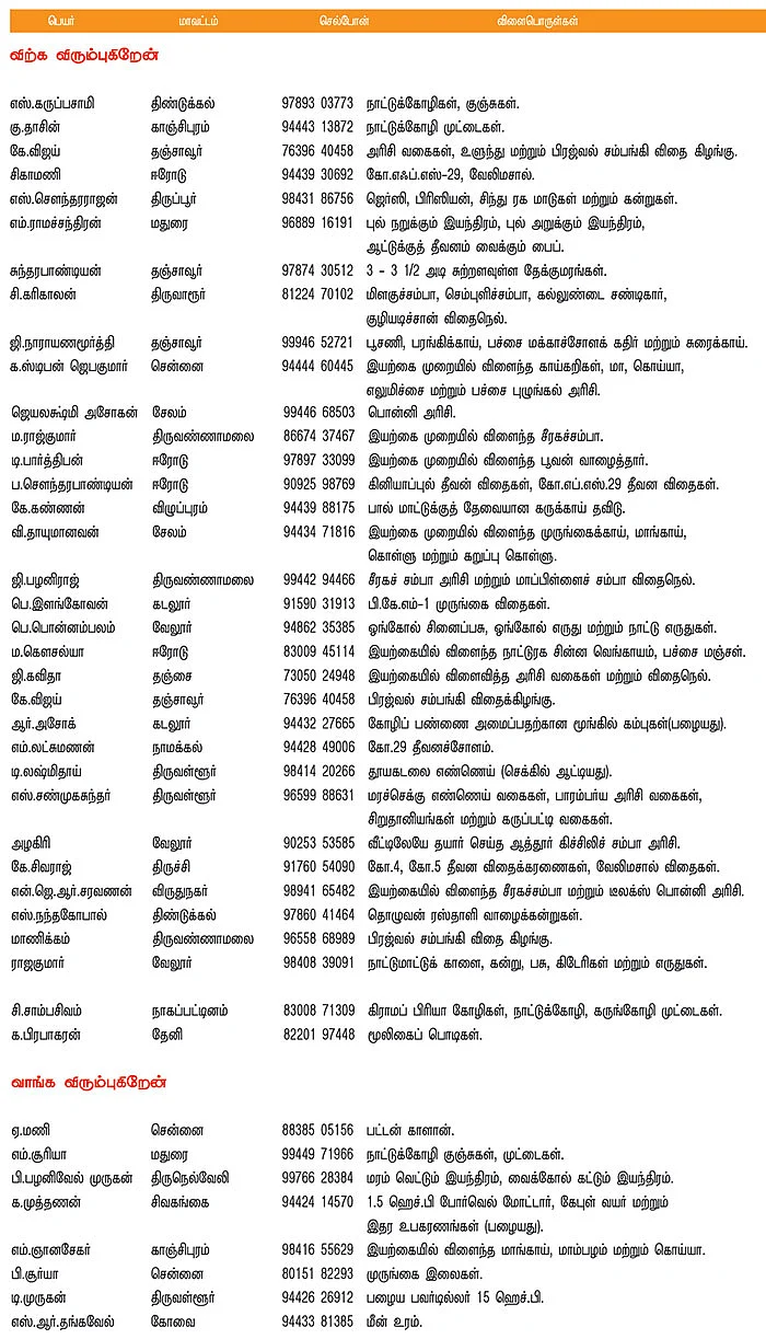 பசுமை சந்தை