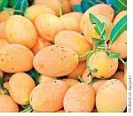 முத்துக்கள் பத்து!