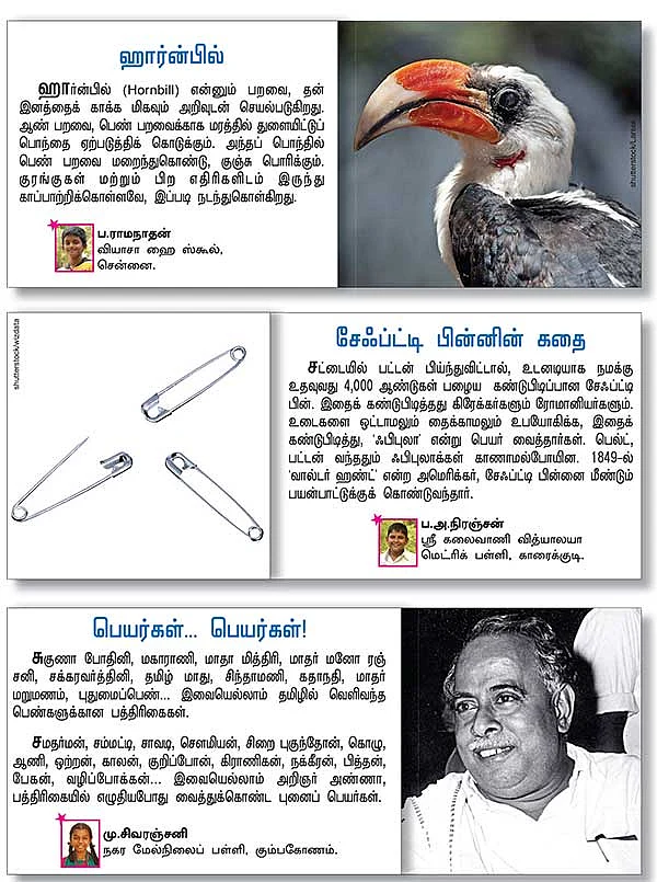 சுட்டி ஸ்டார் நியூஸ்