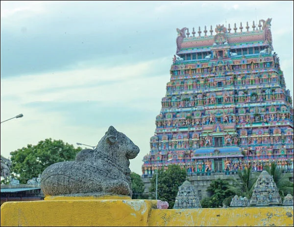 சிந்தையை மகிழ்விக்கும் சிதம்பர சித்திரங்கள்!