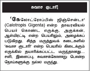 மூலிகை வனம் - நோய்களை எட்ட விரட்டும் எருக்கு..!