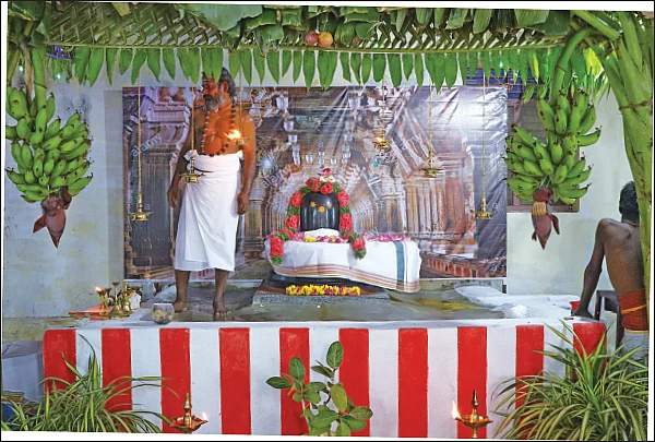 சிந்தை மகிழ்வித்த சிவராத்திரி வைபவம்...