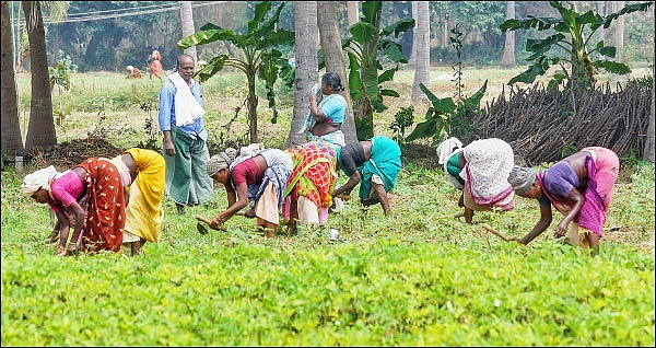 “நடுநாட்டு மக்கள் கதையை எழுத ஆள் இல்ல!” - கண்மணி குணசேகரன்