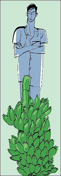 மூங்கில் பூக்கும் தனிமை